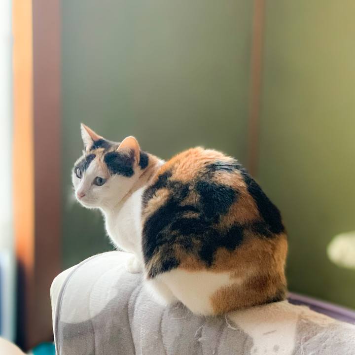 3b49c228 89b0 44d8 8419 949cc407ee79 1589161007762