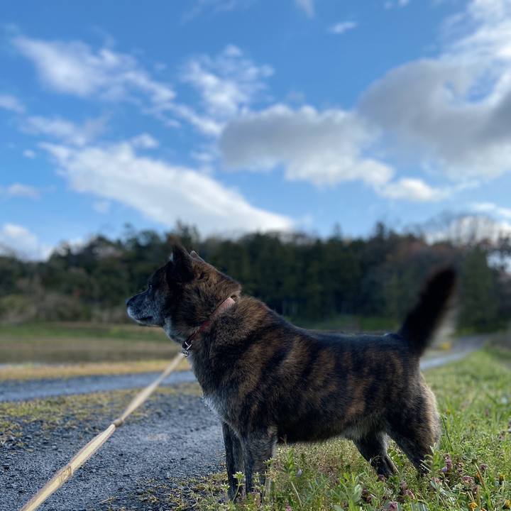 3b4a4f00 3461 44d7 8dee fa3113821022 1587598363050