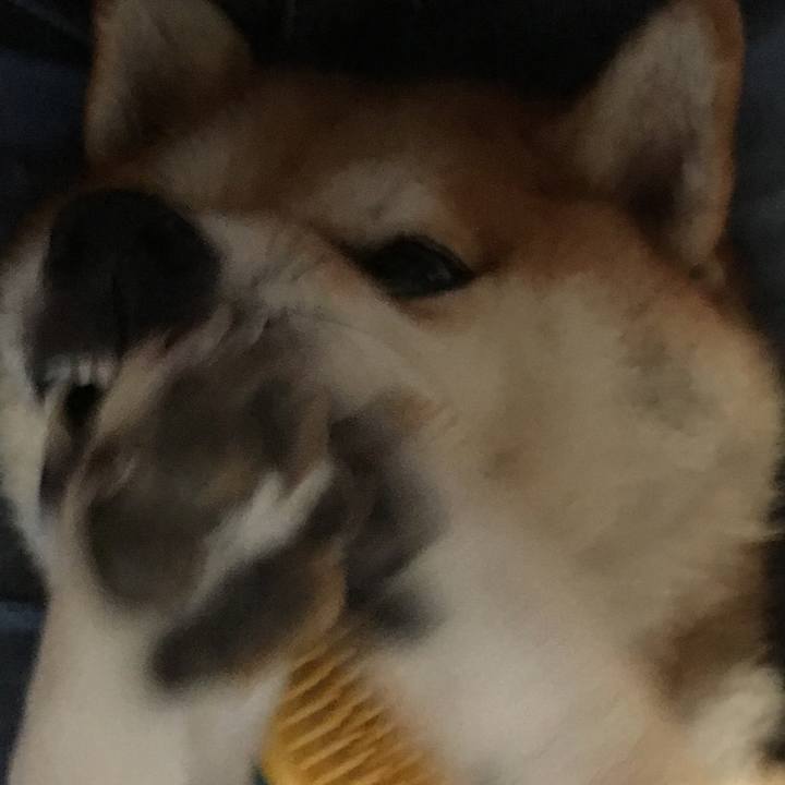 3b4a7036 3ead 4b82 a15e f26e72d90ca2 1569202551921