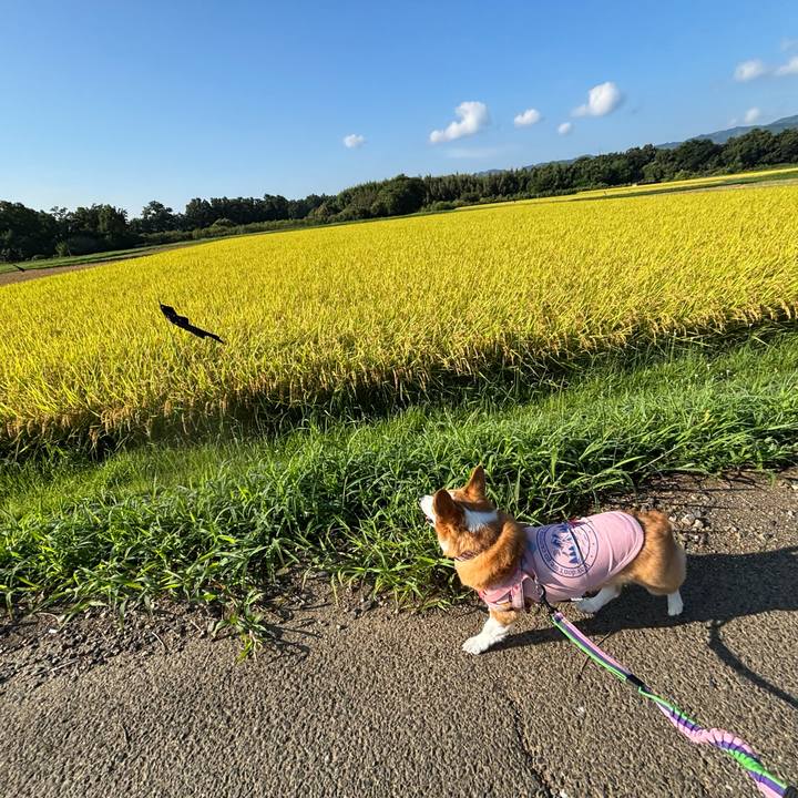 3b4a7308 d43c 4e1f 878b 585ee81f0eb4 1757217363590