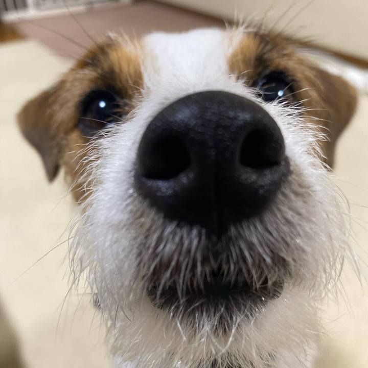 3b4abc5a af8b 4aa9 896a ad550f97b279 1751118108258