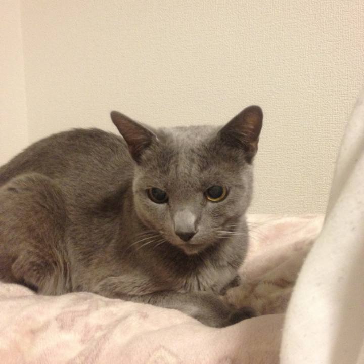 3b4ae808 0a38 4e91 a808 f1cb852dedea 1691505464193