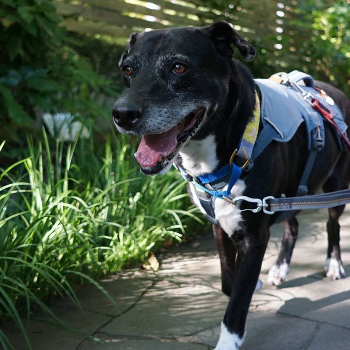 3b4ae9ff 2a7a 4db9 9bc3 20550d889a29 1758760036682