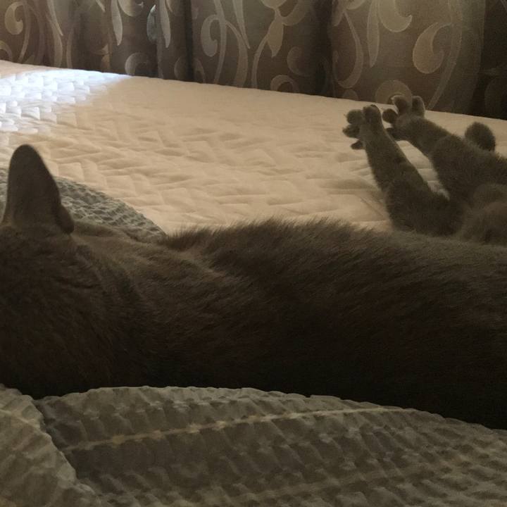 3b4afe51 d3d2 4ffa a532 3fb0b64b540c 1568767292596