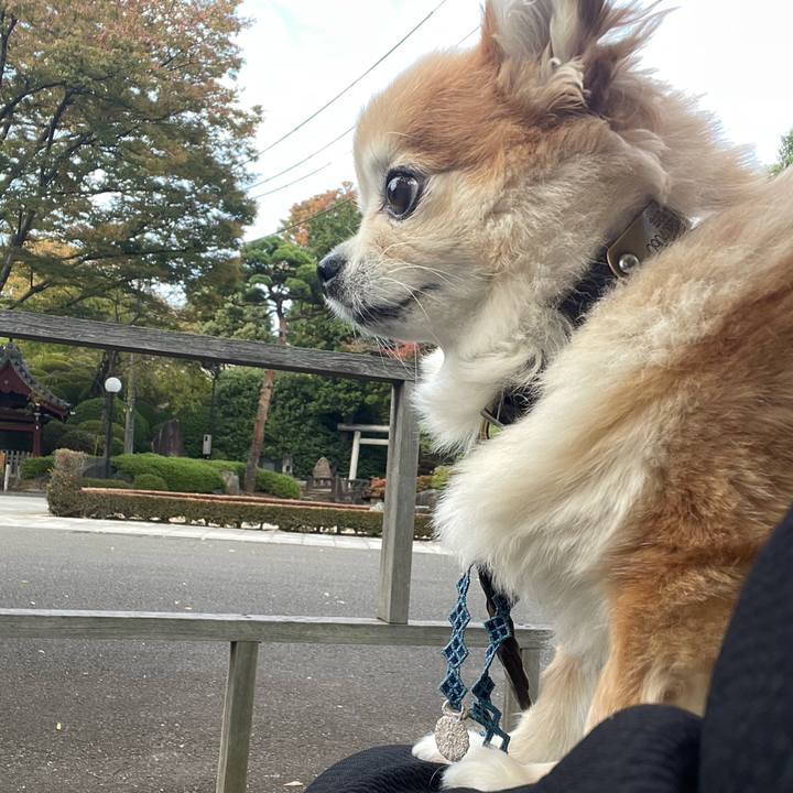 3b4b1c81 3b50 4e62 8131 94c431269a00 1762577680866