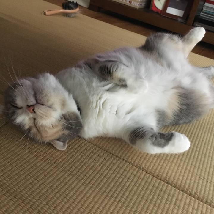 3b4b523f a015 404e ac25 cc0d1535eca3 1538875340710