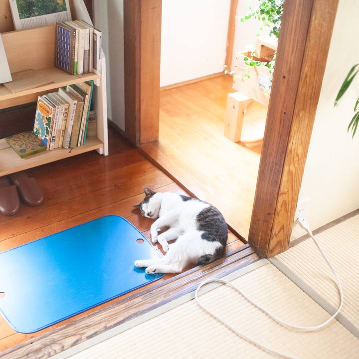 3b4bba48 f443 4c31 a8b3 1699c902b3b0 1598335993100