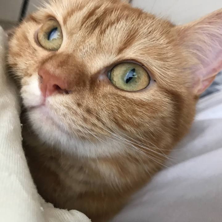 3b4bcb1f d0a1 41f8 97ea 74d23a00c195 1528333030737