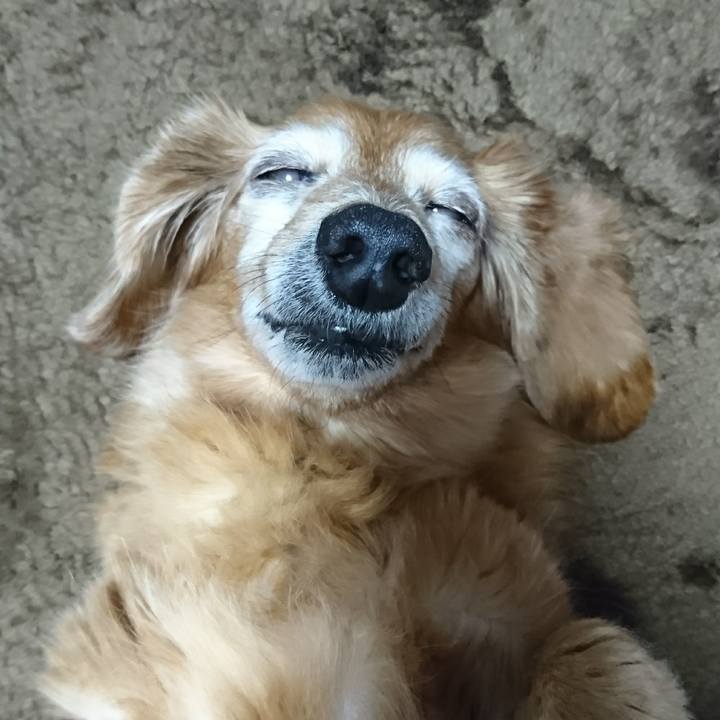 3b4bf181 5e53 4ac5 9096 704e848613d5 1509472341731