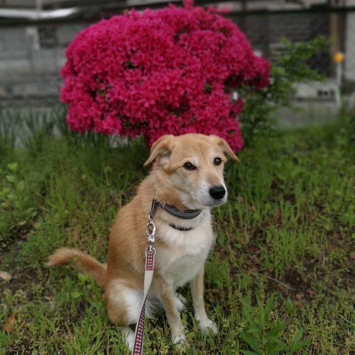 3b4bfe04 fe9c 4ab9 8a20 c74ccb446ae4 1524009104908