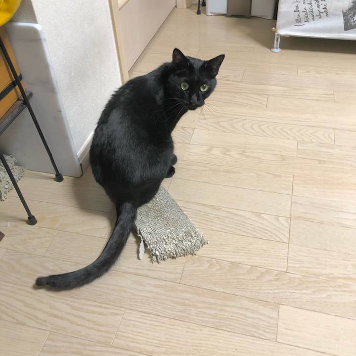 3b4c1bb9 76b2 422e 8114 cd456dc677b8 1616078372876