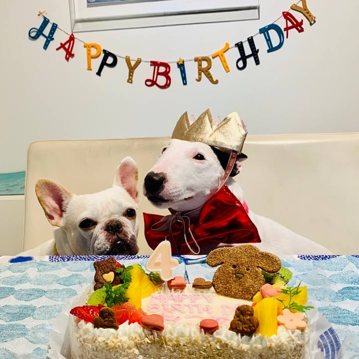 3b4c1ef5 c339 4223 8997 cfe5c0244069 1566483553182