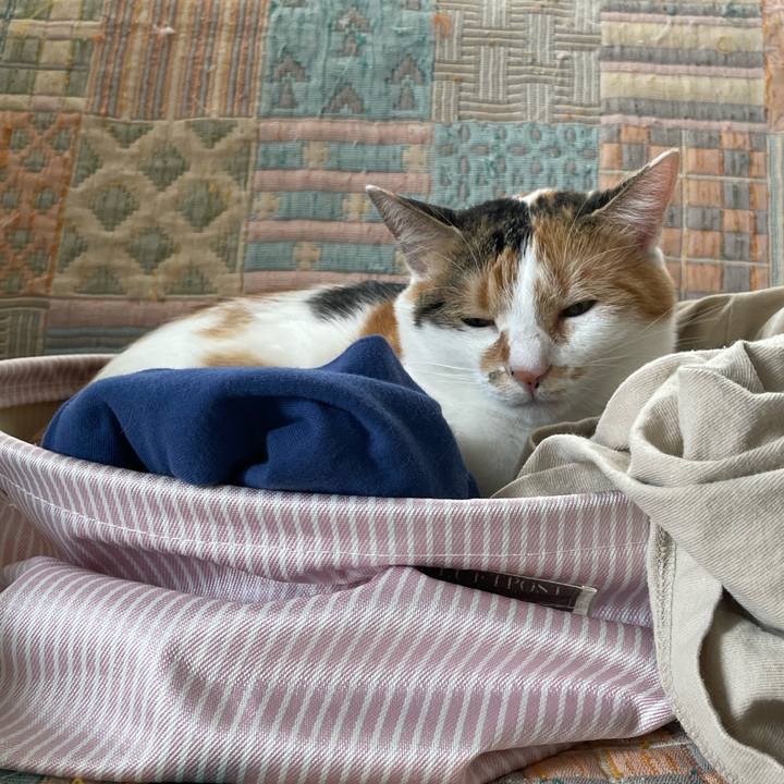 3b4c4dc6 aaa0 402d 9640 989ff33f4727 1661569135203