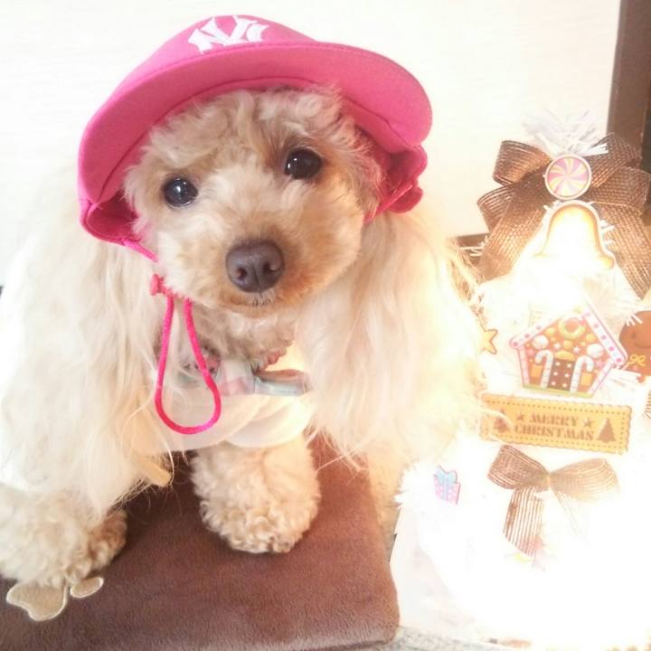 3b4ccd78 54a2 478d 9547 6e238ec176af 1514200497333