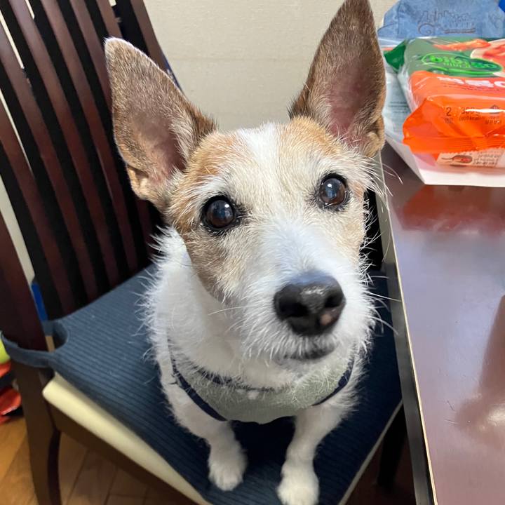 3b4cd67a d5c4 4164 b878 01a30209c5f7 1746231428963