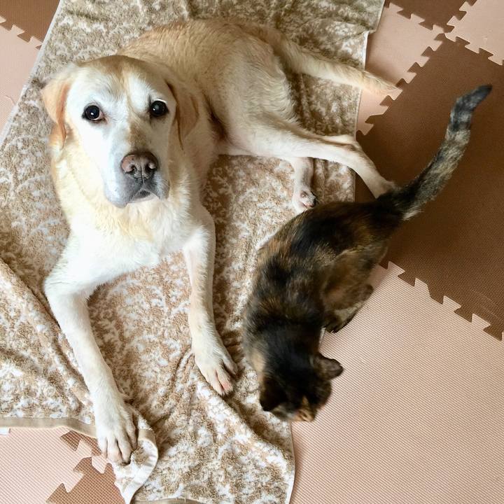 3b4d0713 fda4 44fa b087 f83c83ac5aa9 1537930637143