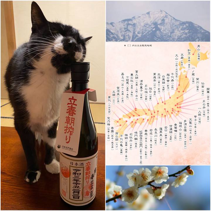 3b4d6394 8c83 41e2 9347 74de3311f5ec 1612521268940