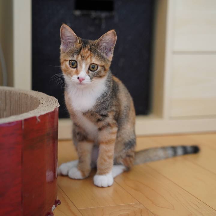 3b4da69c 711f 4b71 b9e1 cd2c87f93876 1570406086271