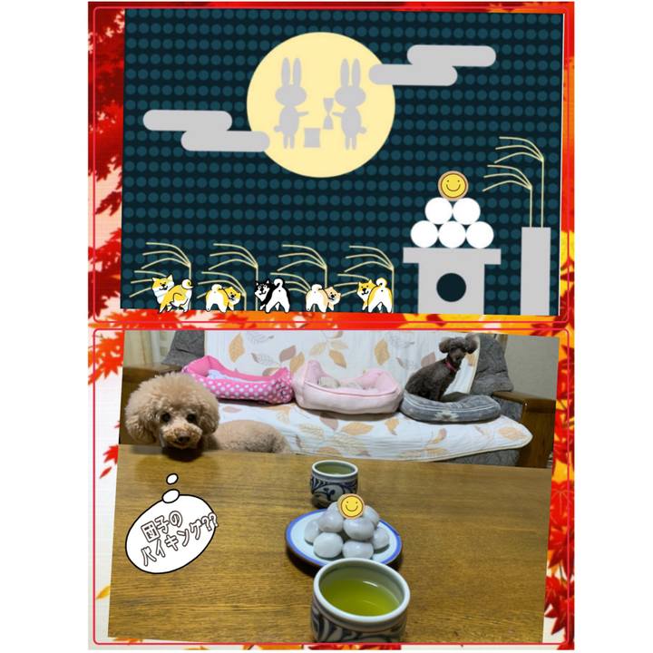 3b4db7f2 1d61 48c5 b865 2284ac66f62e 1601636423945