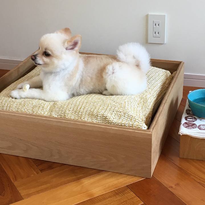 3b4dd81b 56f8 4578 b21b 5b84811103c5 1597285256191