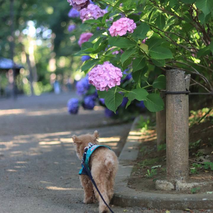 3b4df227 97ab 4125 ac0c 3d24c63904e3 1656116396040