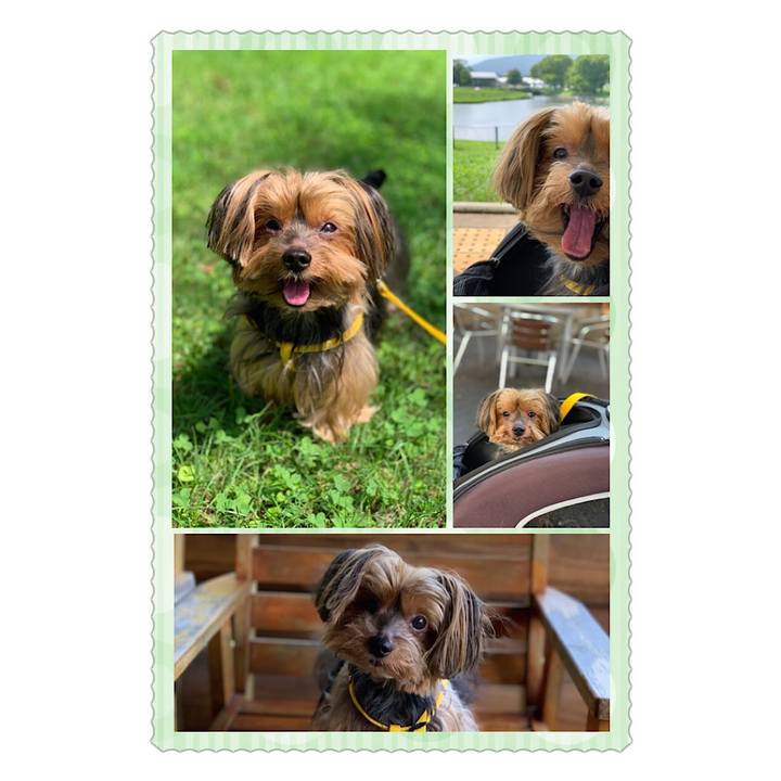 3b4e1706 e58b 4e94 bd1e ebf590673d84 1564646687799