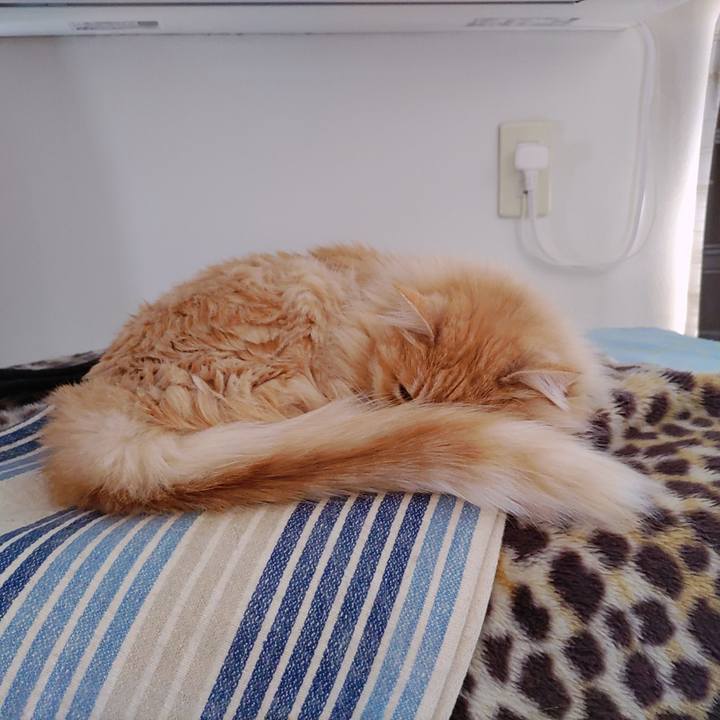 3b4e17dd 8cf5 42d6 95ca eacffaf19037 1678771675554