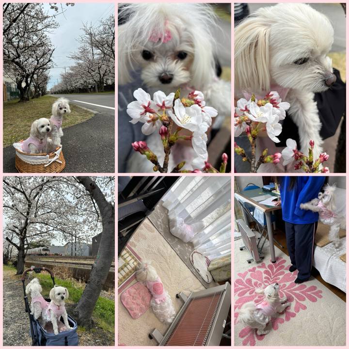 3b4e1a28 a331 4017 8e1c 7b95d44a7ad8 1743583272807