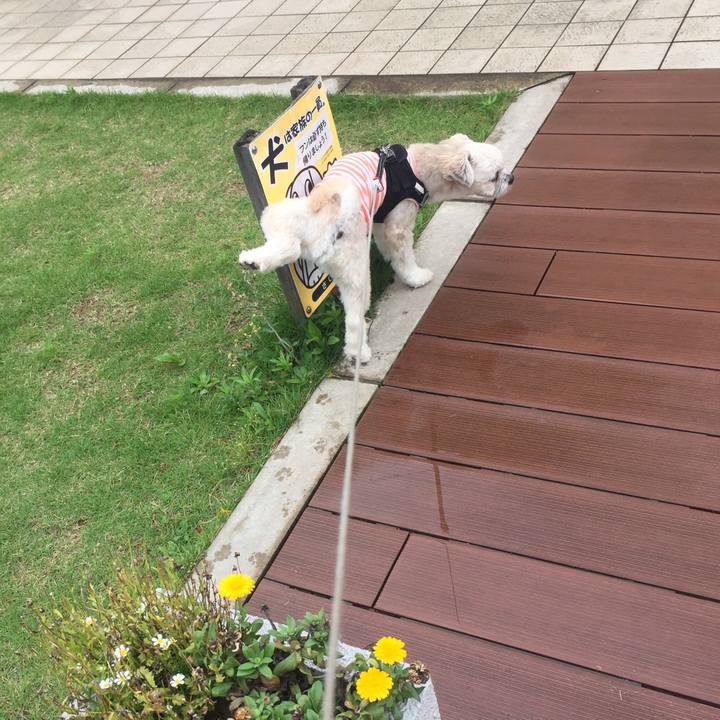 3b4e4710 858d 4b68 a506 49709ef3b9ca 1530101824251