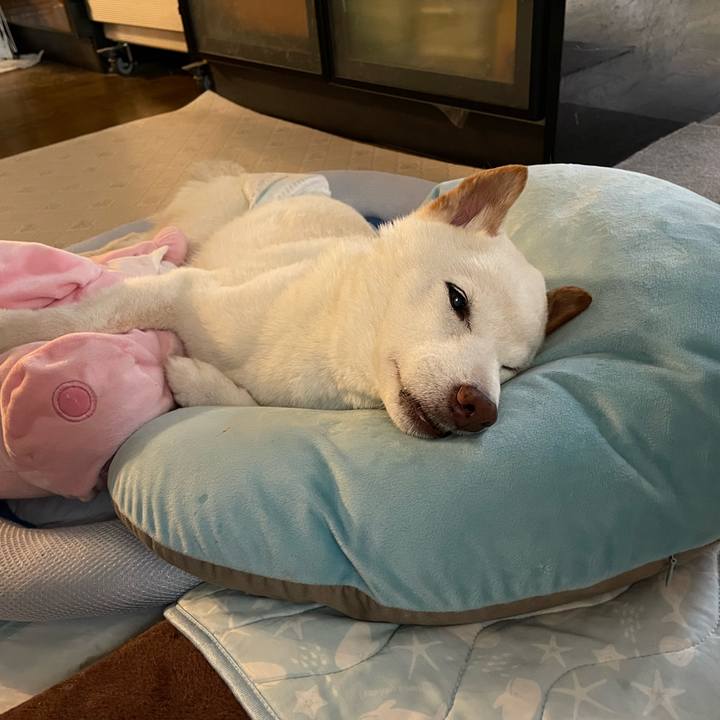 3b4e5864 c521 41d9 9e08 aedb08fdb859 1663223259450