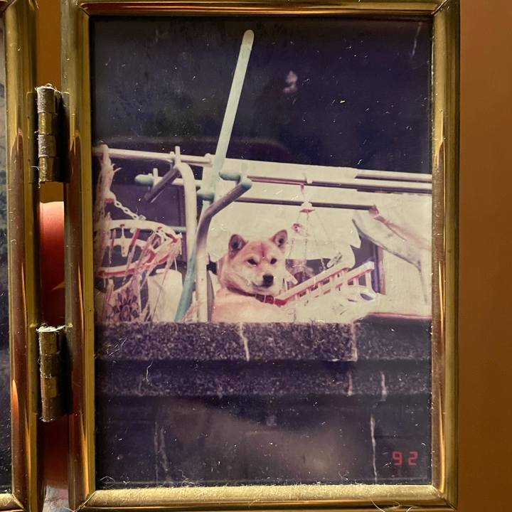 3b4e586e ef2e 4cd2 9282 84207eb36f86 1661921626937