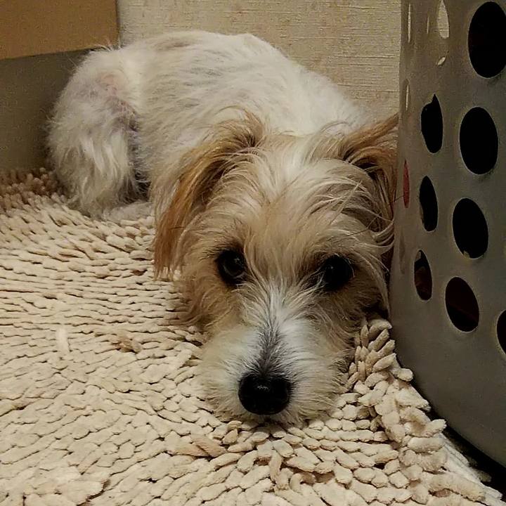 3b4e7034 8242 4d1c ad23 0abf8326ac56 1546262625600