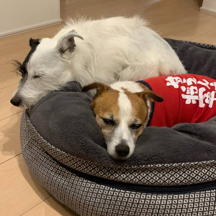 3b4e7f66 7588 41d0 ba93 417c2bb8be7d 1633082505273