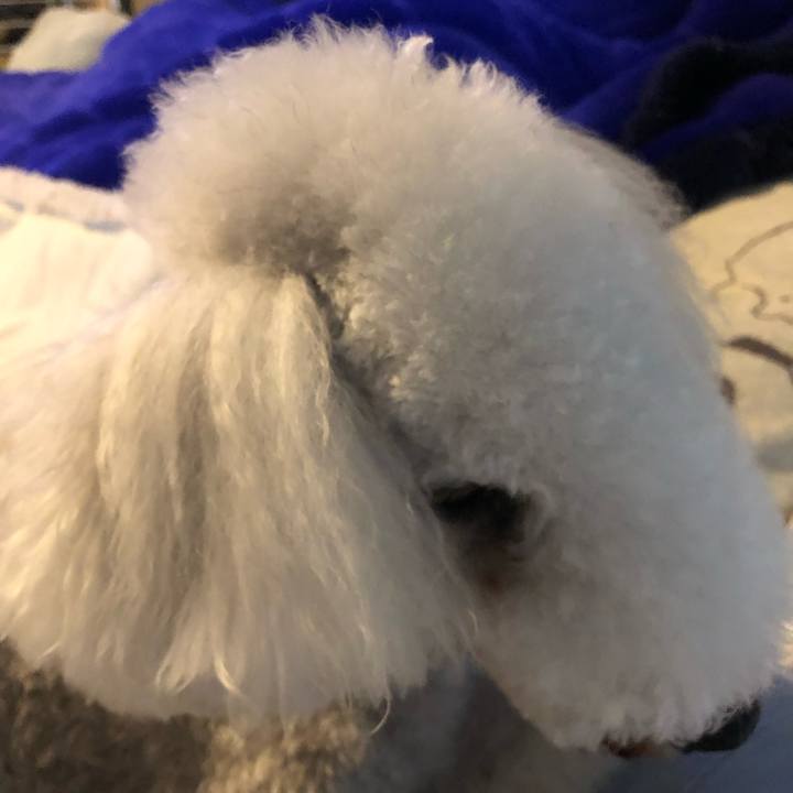 3b4e8d55 bb6b 4bc7 b2ae 4898fab8f4f5 1625390950660