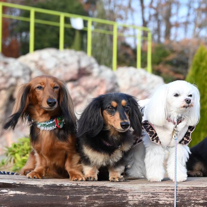 3b4e9032 1204 46bd bae7 ad297f788adc 1703123876510