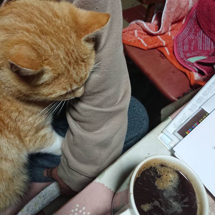 3b4f53b6 7a14 4663 9d69 7603910e7e28 1585770835943