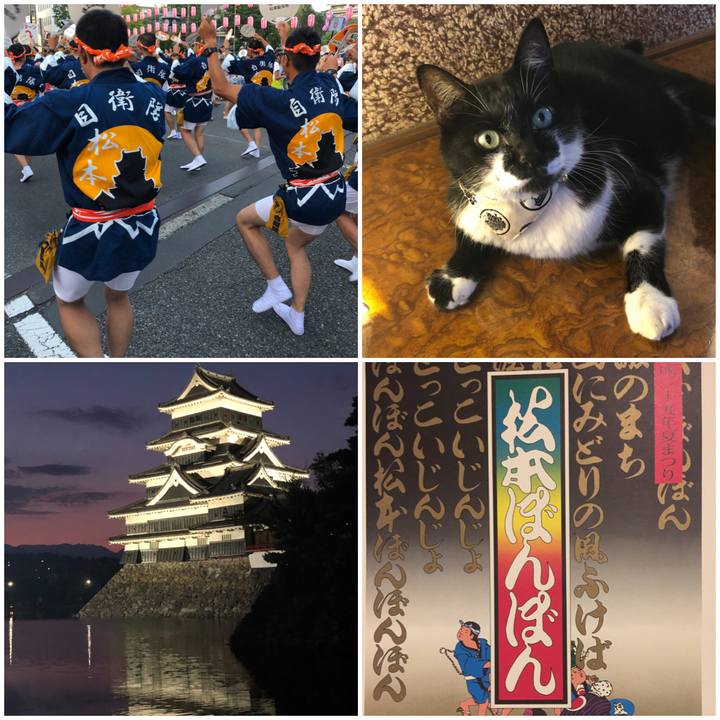 3b4f53b9 bb2b 42a2 b17a 17d958e5cbfa 1533379031846