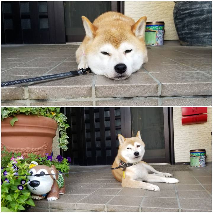 3b4f5c20 f92f 44e7 a78e b5b06c09eca6 1597707109679