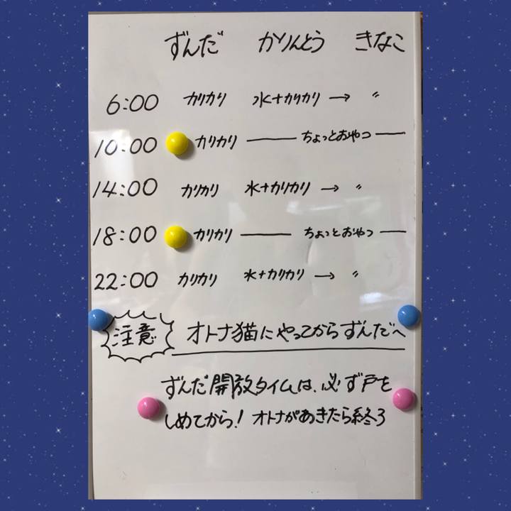 3b4f640b b932 4e6d bf85 3fffc3366496 1727948155145