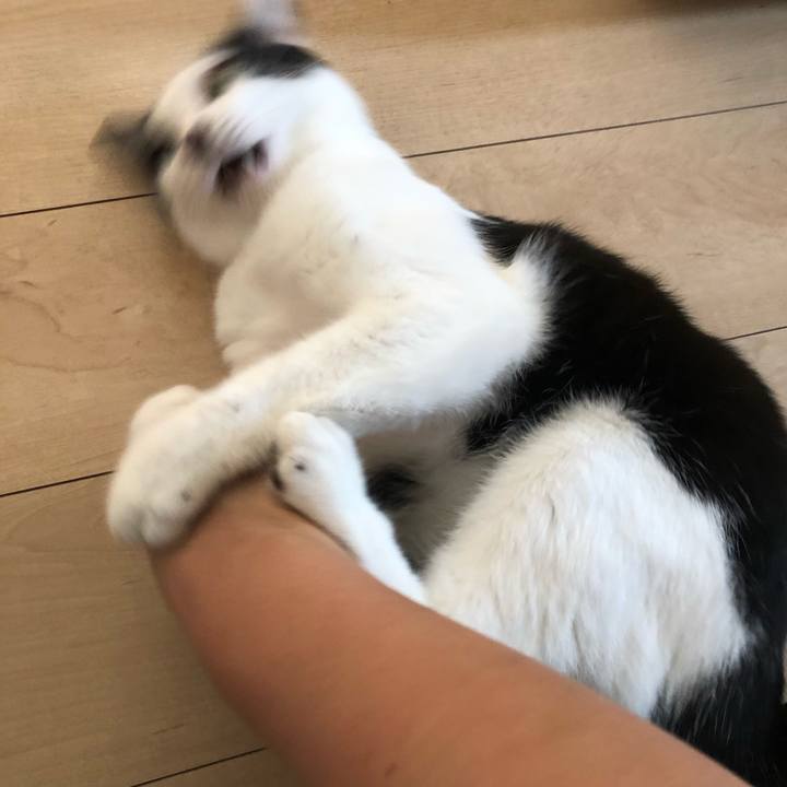 3b4fa483 a9bf 4b40 8599 a0a93f0ada15 1565681659895