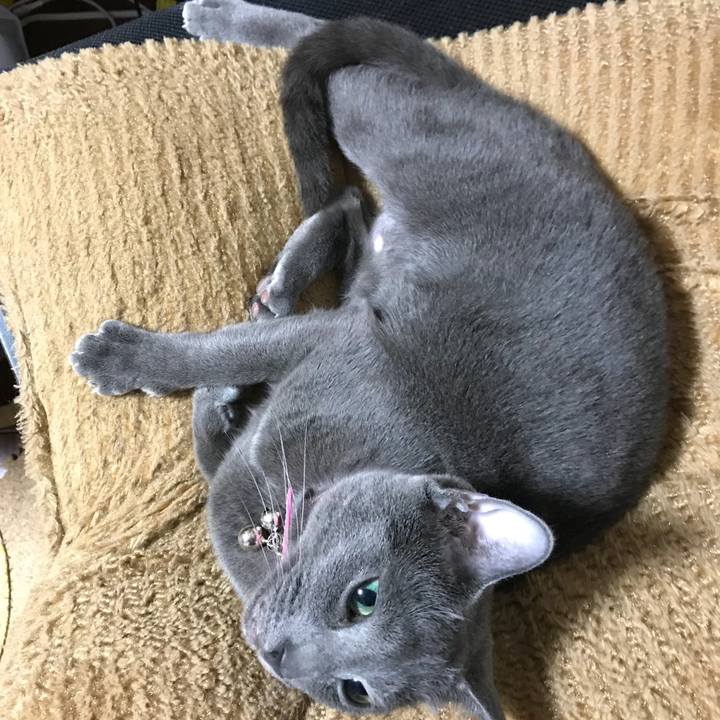 3b4ffa2e bd65 4995 b6ca 60be03402af8 1524754498604