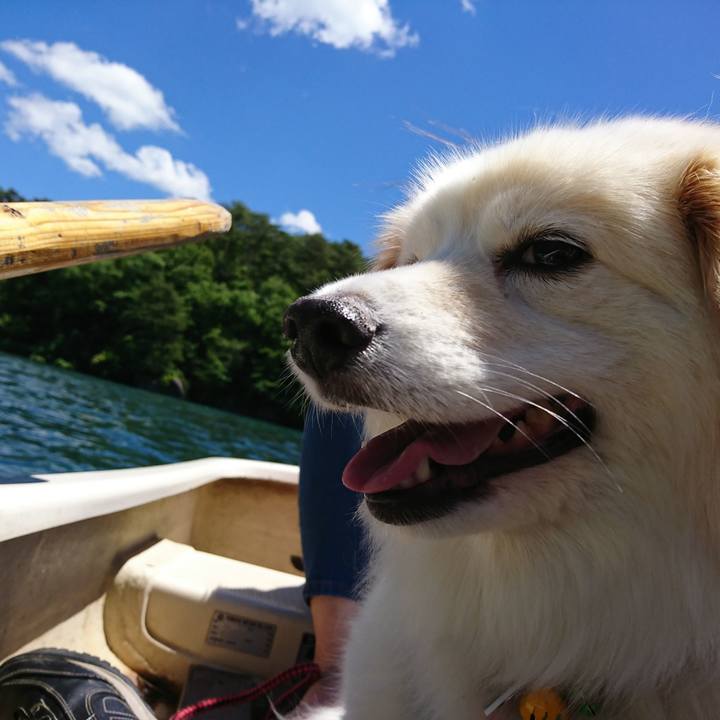 3b500a65 cd5d 46ab 91ad 5f6c55e4aadc 1529637785068