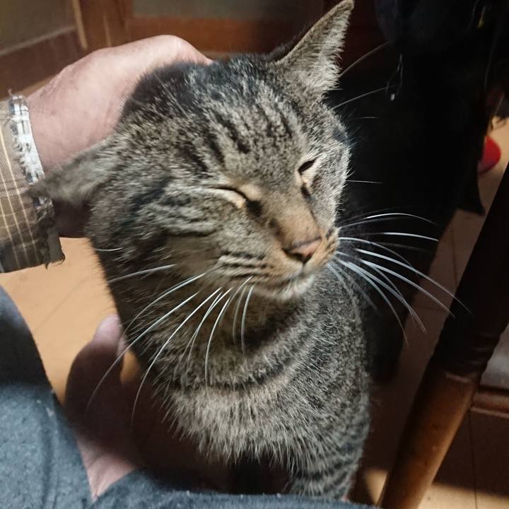 3b503c98 dc57 46ad 9921 0f1ddb96d1ad 1636975512599