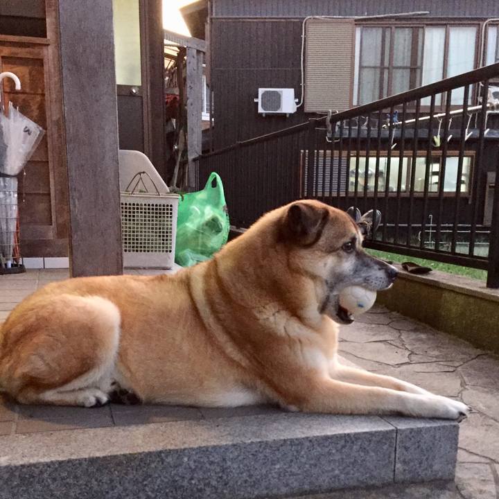 3b507936 42a4 4dda 8f38 247f5202521c 1566815486947