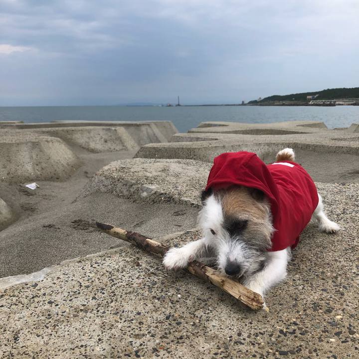 3b507dd5 eb56 43f1 8dfd 75fdf166558b 1593988966446