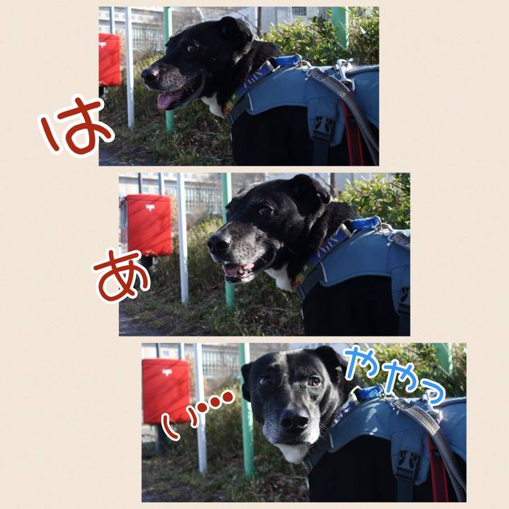 3b508737 66be 47f0 8bdb 9898f5af6860 1710466108290