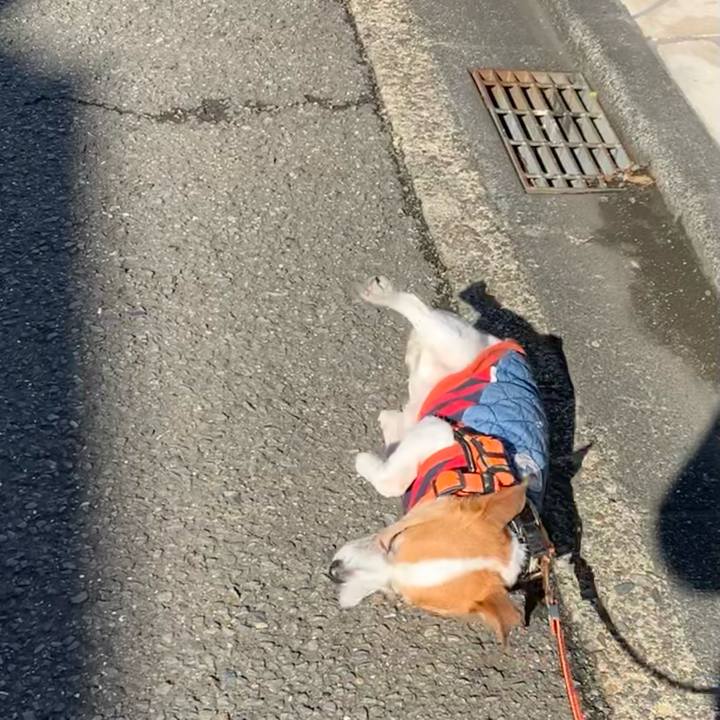 3b509315 c424 48bd b0da 58d3acc512f8 1645404181520