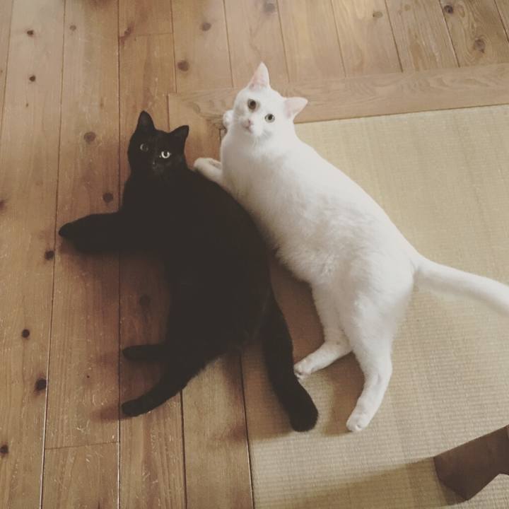 3b509fb4 2c16 4093 a4c6 c5e0c22d805b 1522967330851