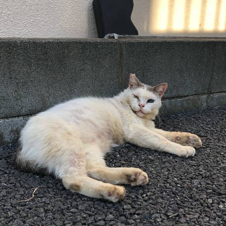 3b50c96f 96c2 4150 bd8c 9b0e1b454066 1569073078938