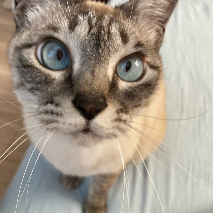 3b50e5dc 72d4 45fc bcc7 9ef77184c8cc 1647329862890